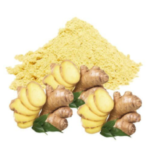 Корінь імбиру